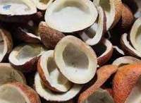 Dry Coconut
