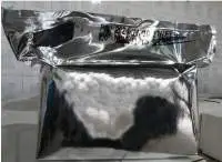 Baker's Yeast