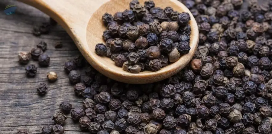 Black Pepper