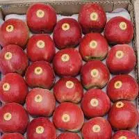 Apples