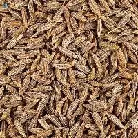 Premium Export Quality Cumin Seeds (Jeera)