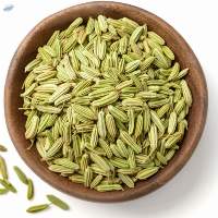 Fennel