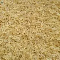 PR11 Golden Rice
