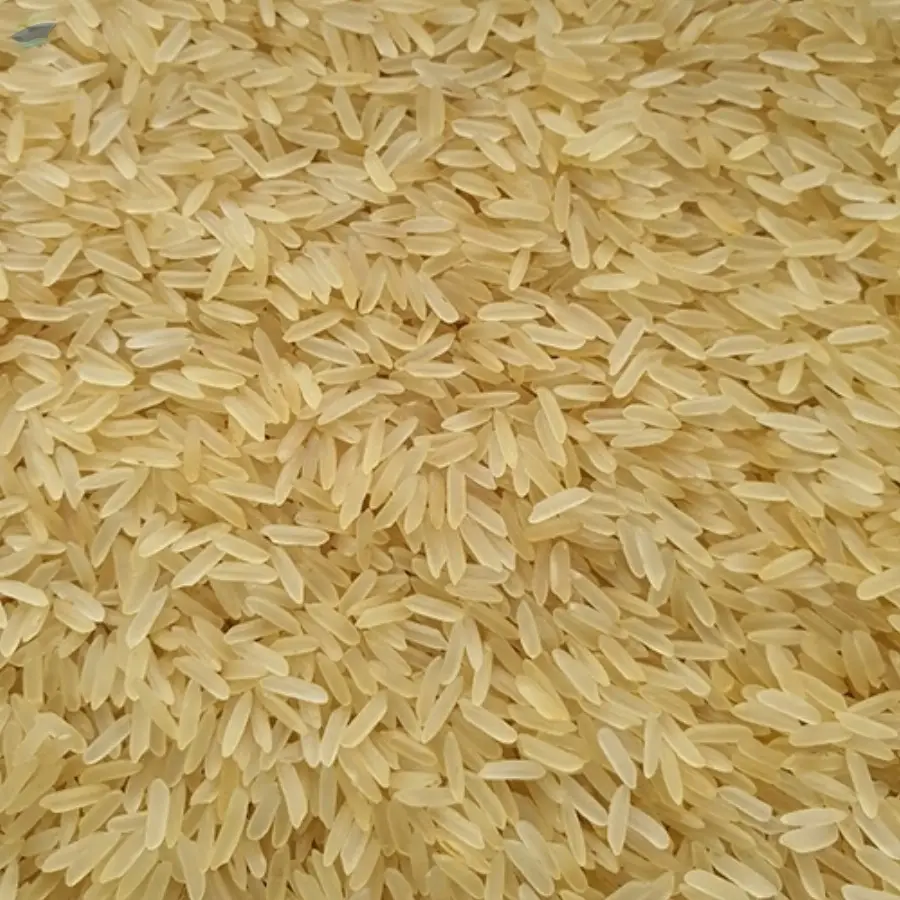 PR11 Golden Rice