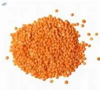 Split Pigeon Peas (Toor Dal)