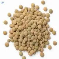 Green Lentil (Masoor Dal)