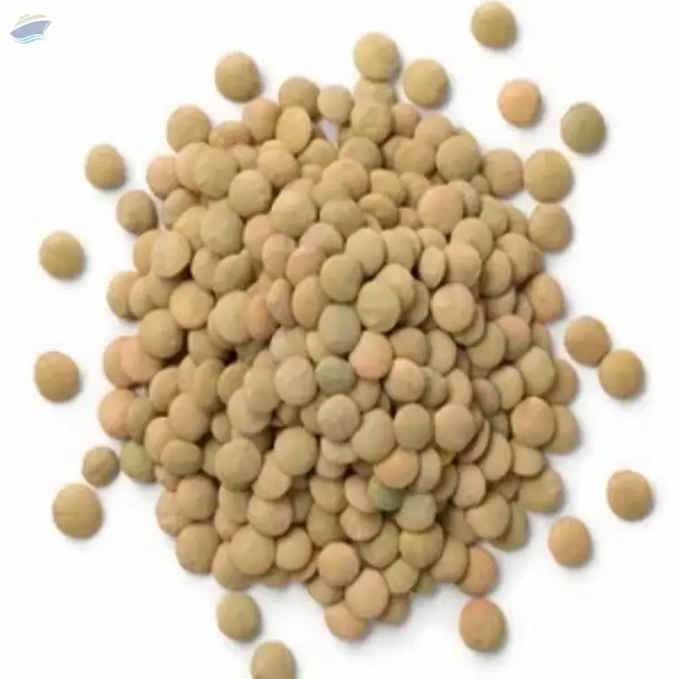 Green Lentil (Masoor Dal)