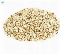 Pearl Millet (Bajra)