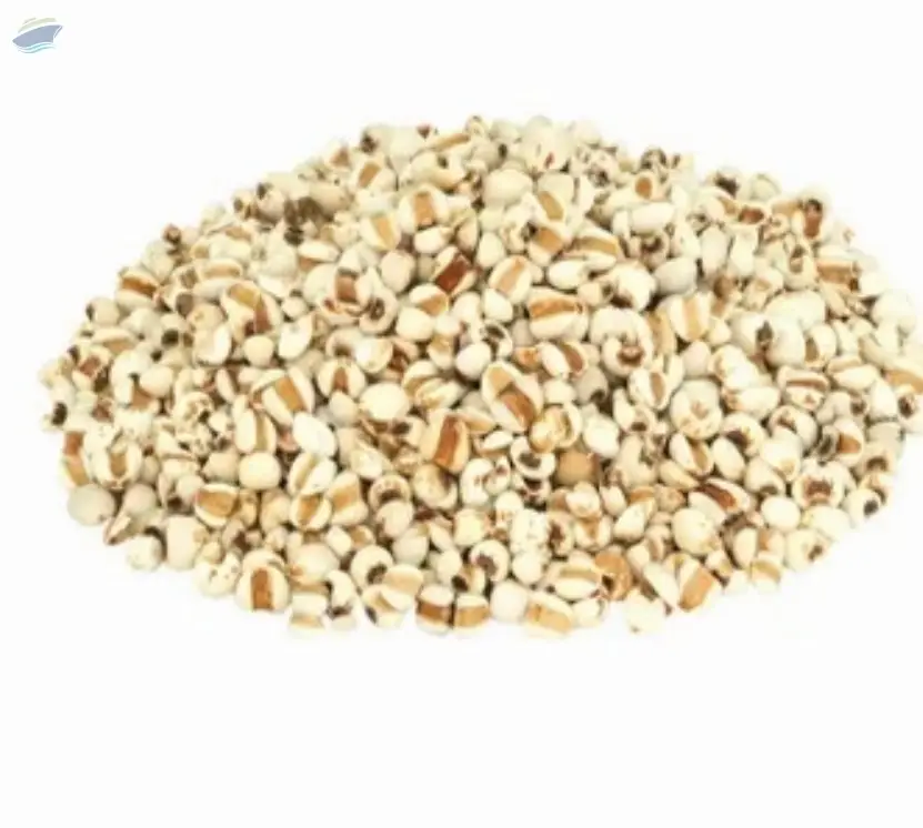 Pearl Millet (Bajra)