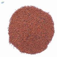 Finger Millet (Ragi)