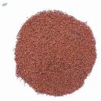 Finger Millet (Ragi)