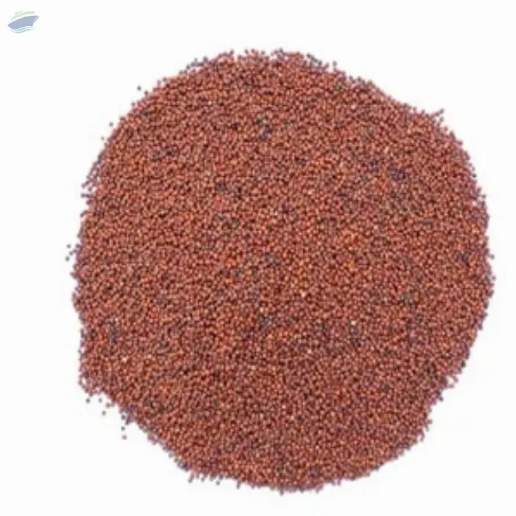 Finger Millet (Ragi)