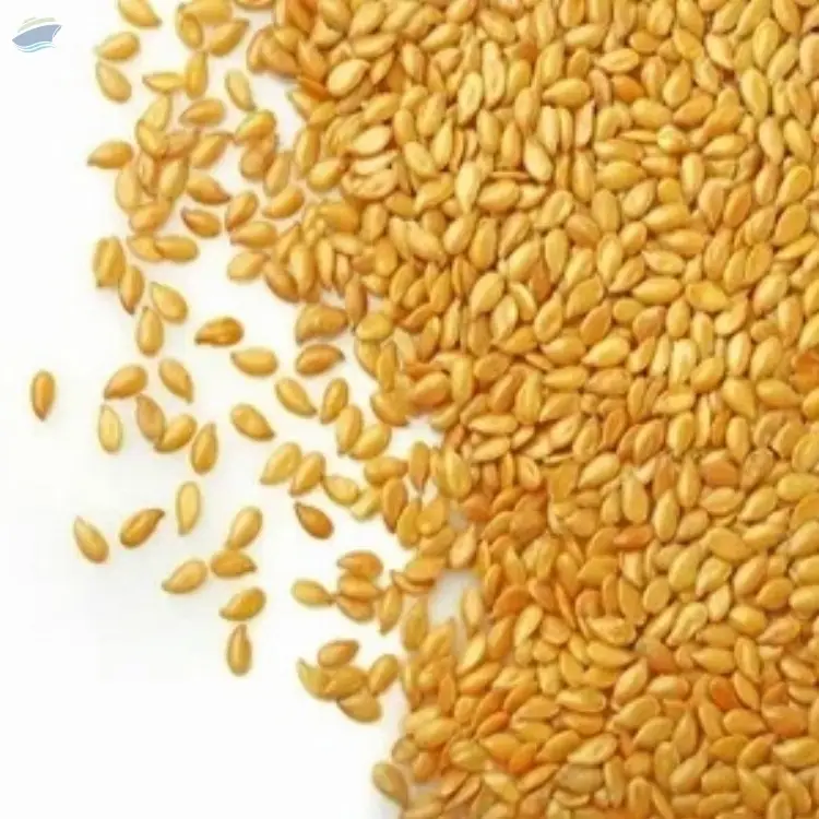Wheat