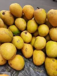 Fresh Fruits