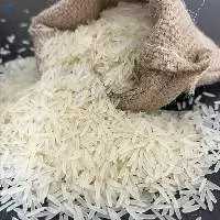 1121 White Sella