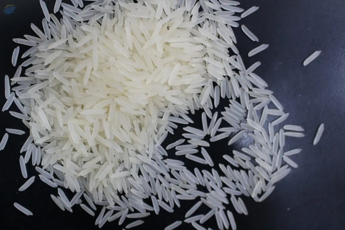 Premium 1121 Creamy Sella Basmati Rice Export
