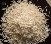 Premium 1509 Creamy Sella Basmati Rice Export