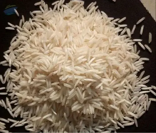 Premium 1509 Creamy Sella Basmati Rice Export