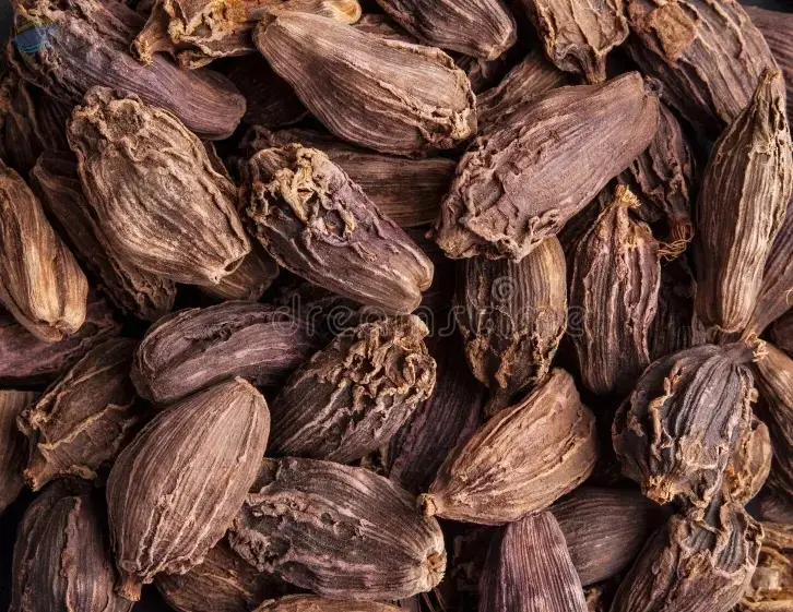 Premium Large Black Cardamom for Global Export