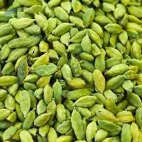 Premium Green Cardamom for Global B2B Export