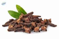 Premium Indian Cloves for Global B2B Export