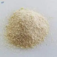 White Onion Powder