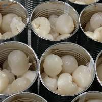 Canned Lychee