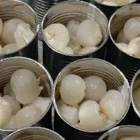Canned Lychee