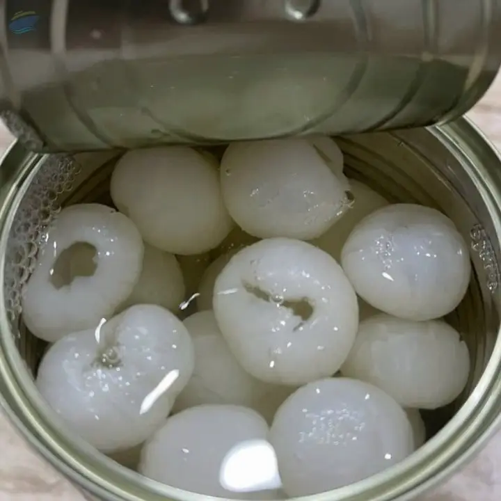 Canned Longan  