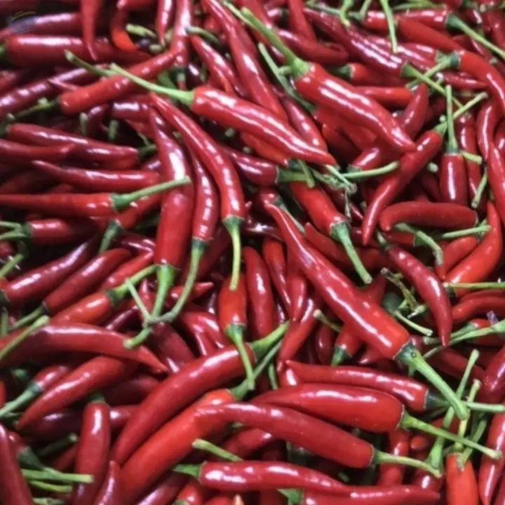 Frozen IQF Chili Pepper