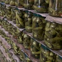 Pickled Cucumber & Tomato