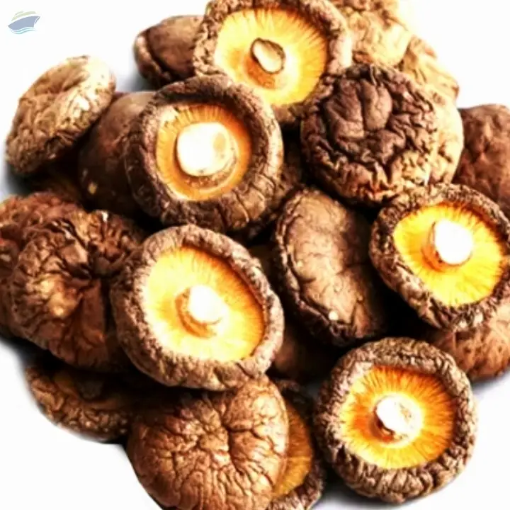 Shiitaki Mushroom