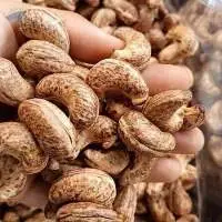 Cashew