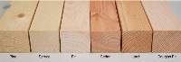 Softwood Sawn Timber