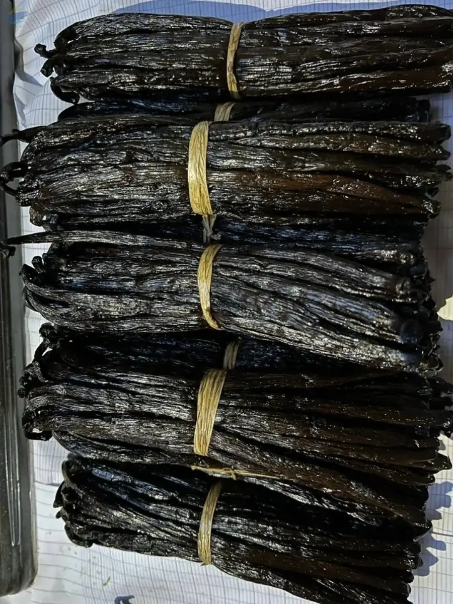 Premium Grade Planifolia Vanilla Beans