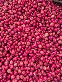 Fresh Red Onion