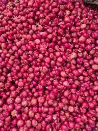 Fresh Red Onion