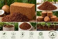 Premium Quality Coco Peat for Agriculture