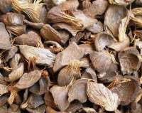 Palm Kernel Shell