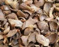 Palm Kernel Shell