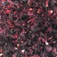Dried Red And White Hibiscus Flower