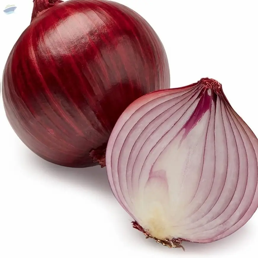 A Grade Fresh Red Onion