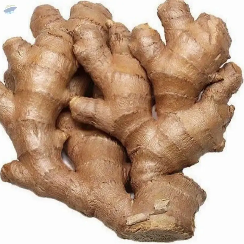 Fresh A Grade Brown Ginger