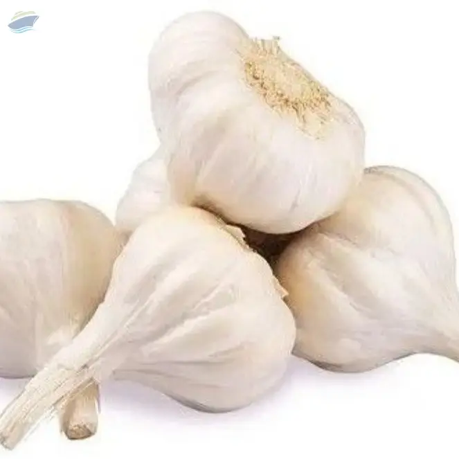 A Grade Fresh White Garlic