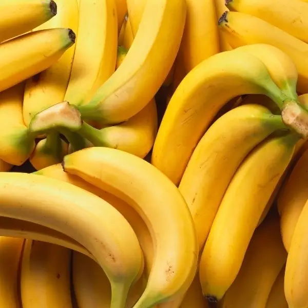 Premium Export Grade Fresh Banana