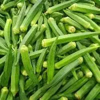 Premium Export Okra (Lady Finger)