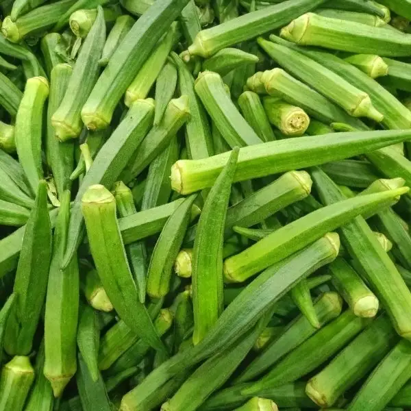 Premium Export Okra (Lady Finger)