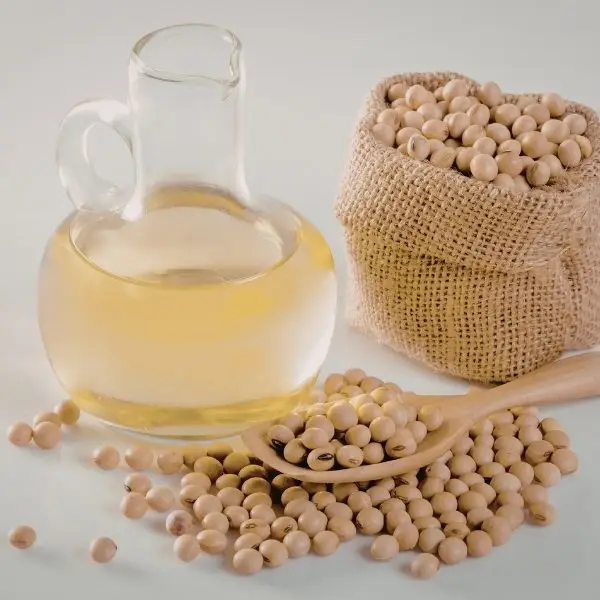Soybean