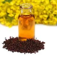 Premium Grade / Food Grade Mustard 