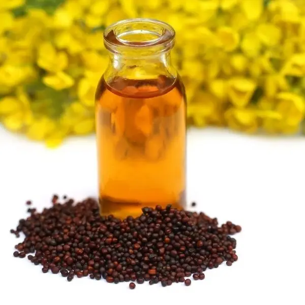 Premium Grade / Food Grade Mustard 